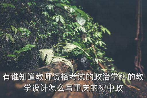 政治教学设计万能模板，如何写高中政治教案