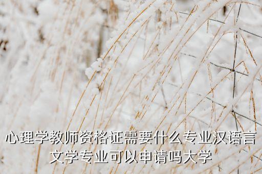心理学教师资格证需要什么专业汉语言文学专业可以申请吗大学