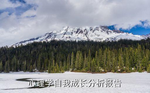 心理学自我成长分析报告