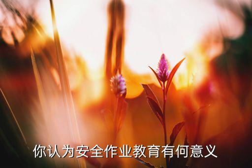 你认为安全作业教育有何意义