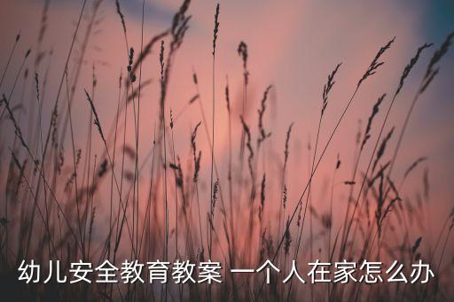 幼儿安全教育教案 一个人在家怎么办