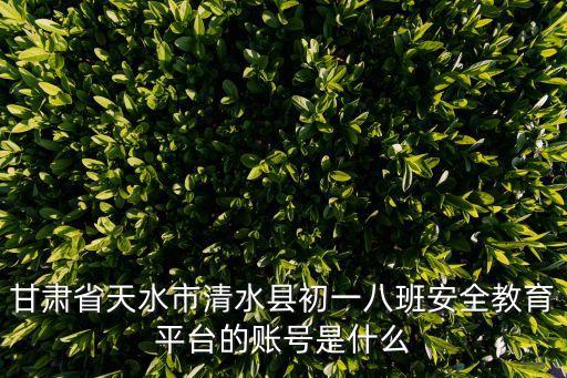甘肃省天水市清水县初一八班安全教育平台的账号是什么