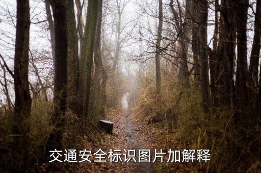 交通安全标识图片加解释