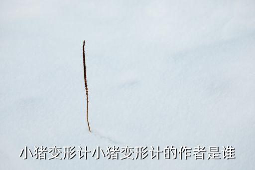小猪变形记完整故事，小猪变形计小猪变形计的作者是谁