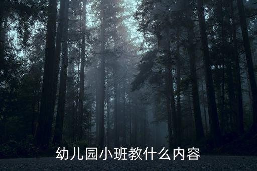 幼儿园小班的教学大纲，幼儿园小班教什么内容