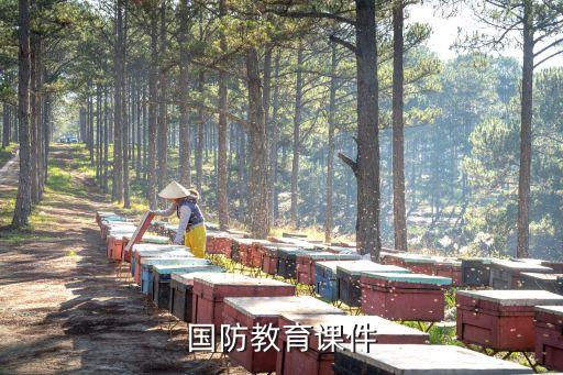 中国国防教育教案，小学班会国防教育内容