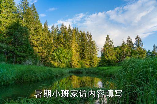 幼儿园暑假家访记录表内容，小班家访记录表内容具体怎样写 详细点的