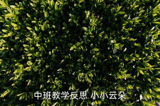 中班教学反思 小小云朵