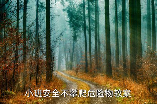 小班安全不攀爬危险物教案