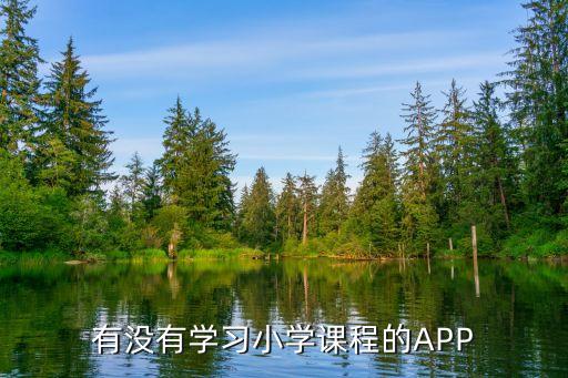 上网课的软件小学，小学学习软件有哪些呢