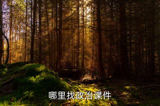 政治课件网，能免费下载优质课件的高中政治网有哪些急急急急急急急急急