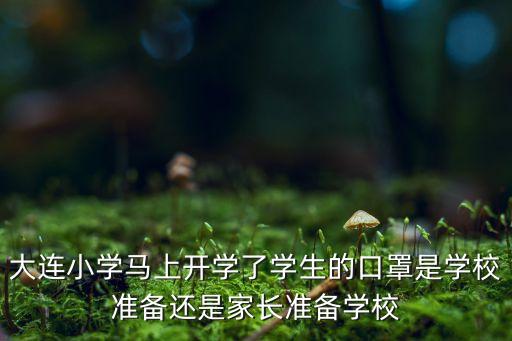 大连小学马上开学了学生的口罩是学校准备还是家长准备学校