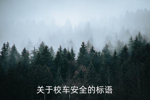 关于校车安全的标语