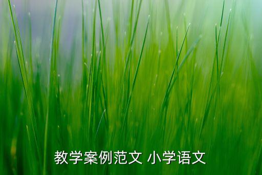 教案详细模板范文，教学案例范文 小学语文