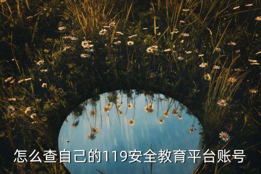 怎么查自己的119安全教育平台账号
