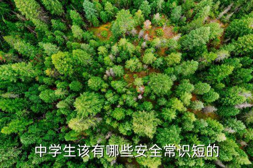 中学生该有哪些安全常识短的