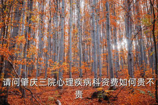 请问肇庆三院心理疾病科资费如何贵不贵
