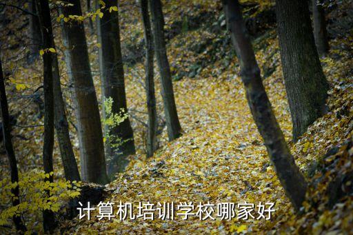 计算机培训学校哪家好