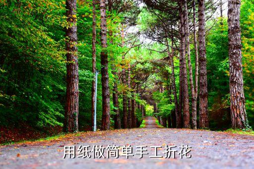 用纸做简单手工折花