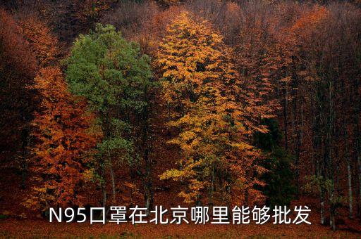 N95口罩在北京哪里能够批发