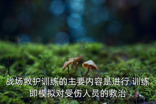 战场救护训练的主要内容是进行 训练即模拟对受伤人员的救治