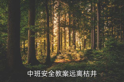 中班安全课教案40篇，中班安全教案远离枯井