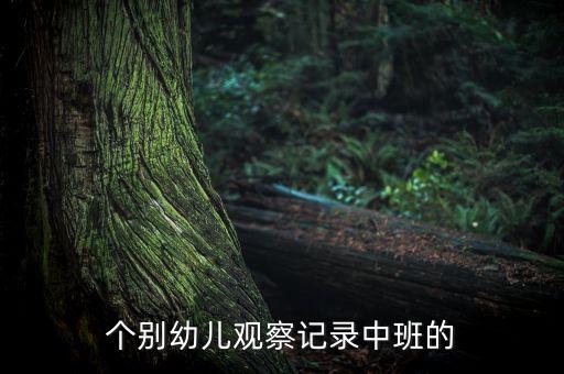 个别幼儿观察记录中班的