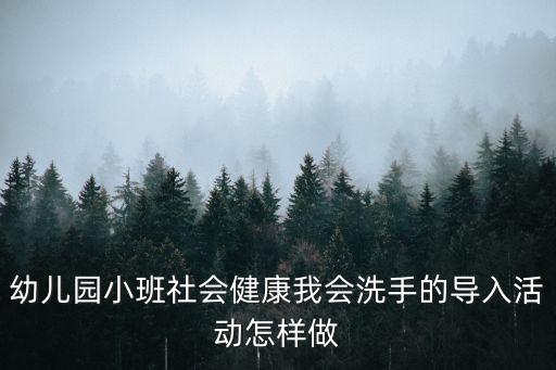 幼儿园小班社会健康我会洗手的导入活动怎样做