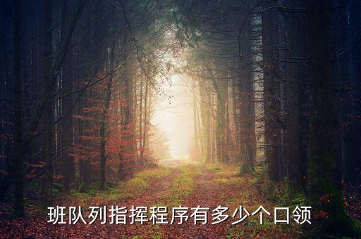 班队列指挥程序有多少个口领