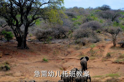幼儿园托班优质教案，需一篇托班优秀公开课教案