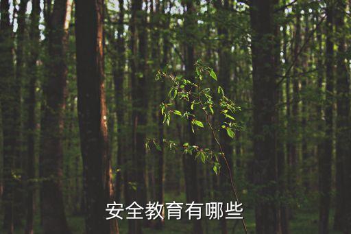 安全教育有哪些