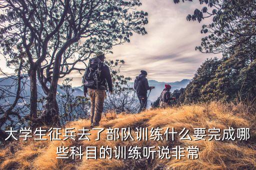 部队教育100课，野战部队新兵训练科目