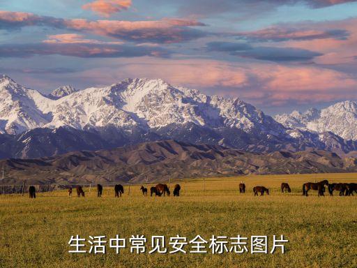 生活中常见安全标志图片