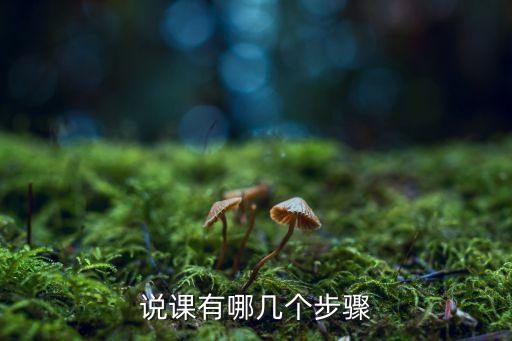 说课有哪几个步骤