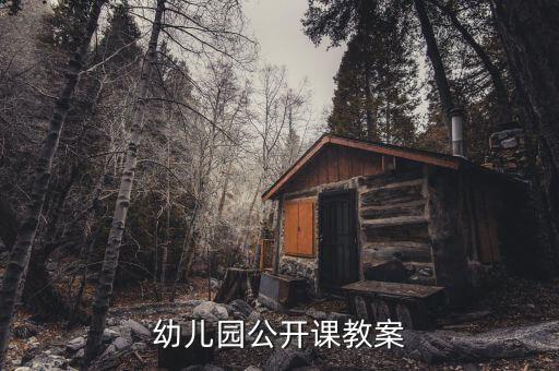 幼儿园公开课教案