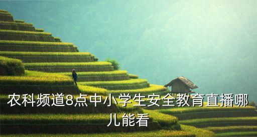 安全教育线上直播课，河南法制频道关于830分的中小学生安全教育讲座在线直播