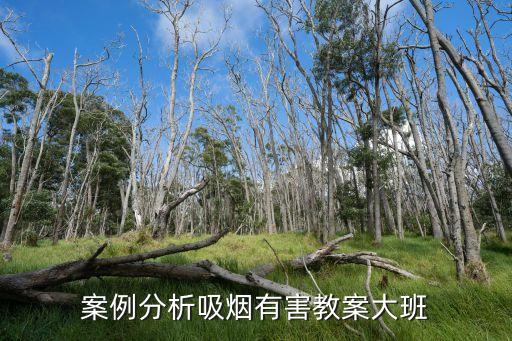 大班幼儿个案分析20篇，幼儿心理案例分析