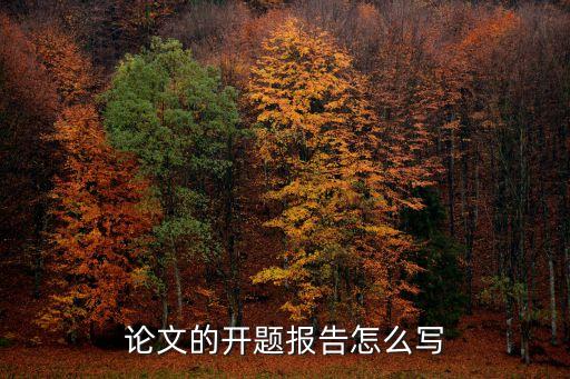 论文开题报告怎么写，开题报告怎么写
