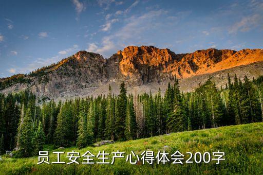 员工安全生产心得体会200字