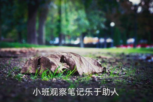 小班观察笔记乐于助人