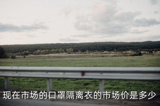一次性隔离服多少钱一套，现在市场的口罩隔离衣的市场价是多少