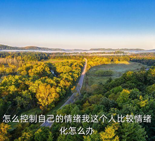 怎么控制自己的情绪我这个人比较情绪化怎么办