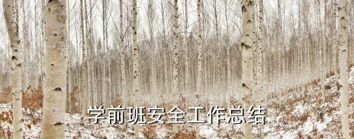 学前班安全工作总结