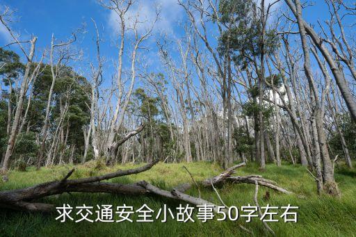 求交通安全小故事50字左右