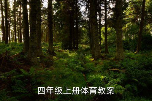小学体育活动教案100个，小学体育活动案例