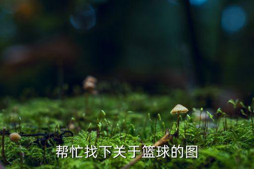 帮忙找下关于篮球的图