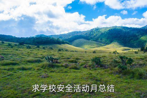 高中学校安全工作总结，求学校安全活动月总结