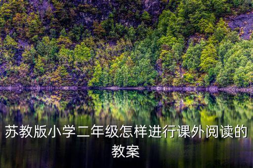 苏教版小学二年级怎样进行课外阅读的教案