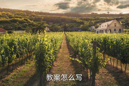 教案怎么写