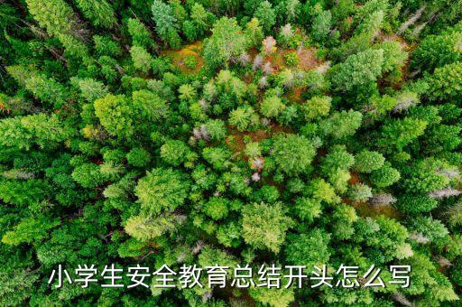 小学生安全教育教学设计总结，小学安全教育总结